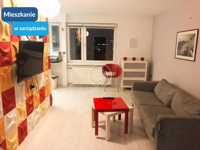 Mieszkanie do wynajęcia w Bydgoszcz, Kujawsko-pomorskie