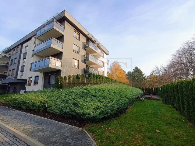 Mieszkanie do wynajęcia w Śródmieście, Częstochowa