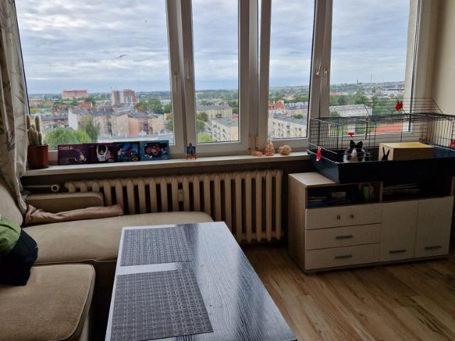 Mieszkanie do wynajęcia w Kalisz, Wielkopolskie