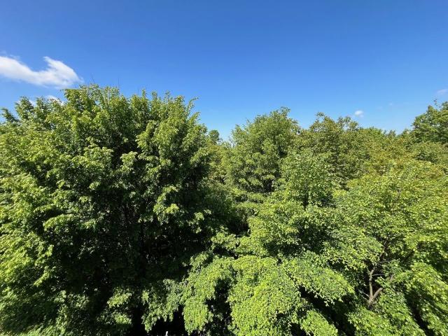 Mieszkanie do wynajęcia w Kalisz, Wielkopolskie