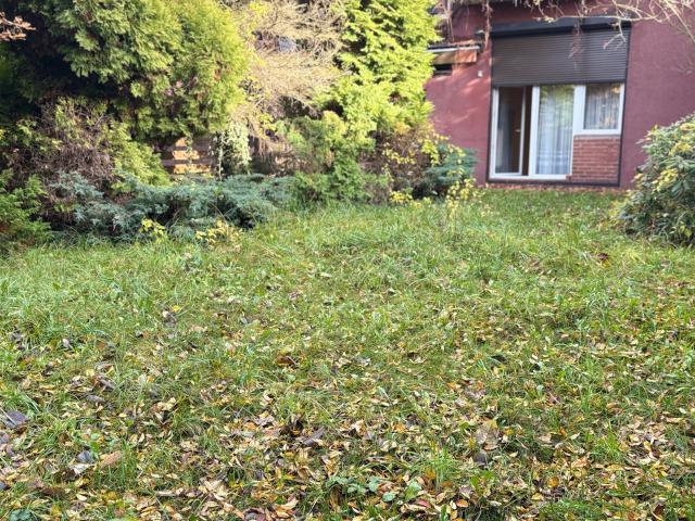 Mieszkanie do wynajęcia w Katowice, Śląskie