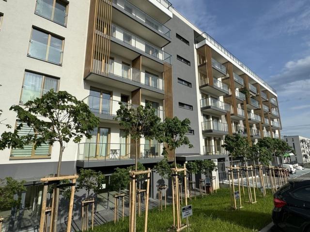 Mieszkanie do wynajęcia w Katowice, Śląskie