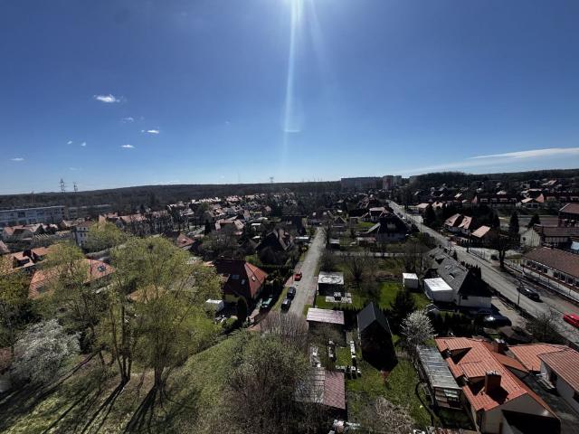 Mieszkanie do wynajęcia w Katowice, Śląskie