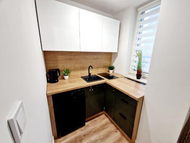 Mieszkanie do wynajęcia w Katowice, Śląskie