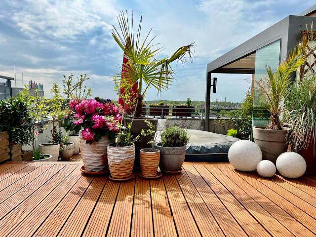 Mieszkanie do wynajęcia w Katowice, Śląskie