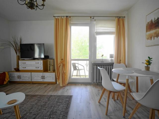Mieszkanie do wynajęcia w Katowice, Śląskie