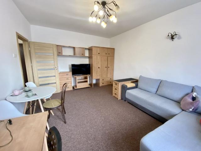 Mieszkanie do wynajęcia w Katowice, Śląskie