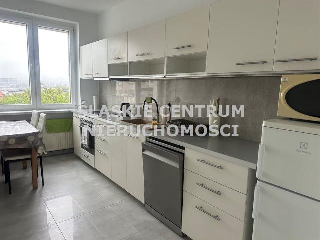 Mieszkanie do wynajęcia w Katowice, Śląskie