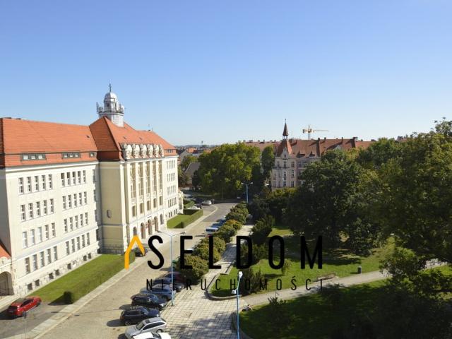 Mieszkanie do wynajęcia w Legnica