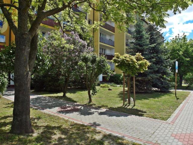 Mieszkanie do wynajęcia w Płock, Mazowieckie