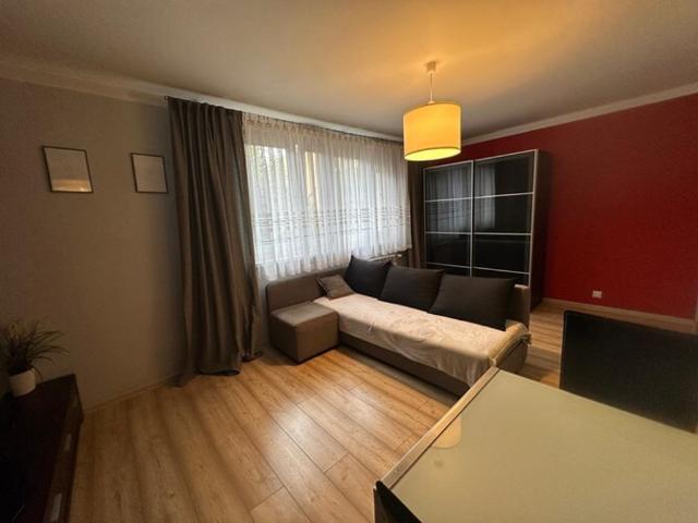Mieszkanie do wynajęcia w Centrum, Piotrków Trybunalski