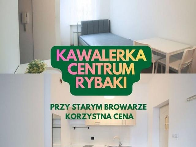 Mieszkanie do wynajęcia w Poznań, Wielkopolskie