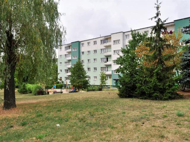 Mieszkanie do wynajęcia w Dębiec, Poznań