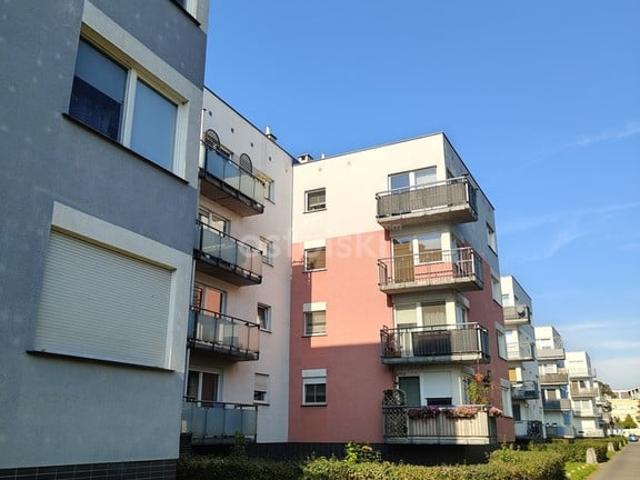 Mieszkanie do wynajęcia w Grunwald, Poznań