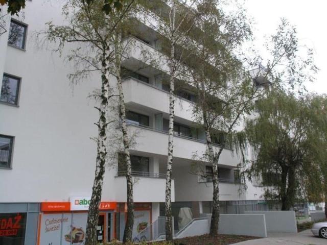 Mieszkanie do wynajęcia w Poznań, Wielkopolskie