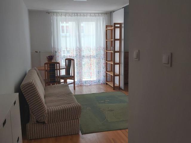 Mieszkanie do wynajęcia w Jeżyce, Poznań