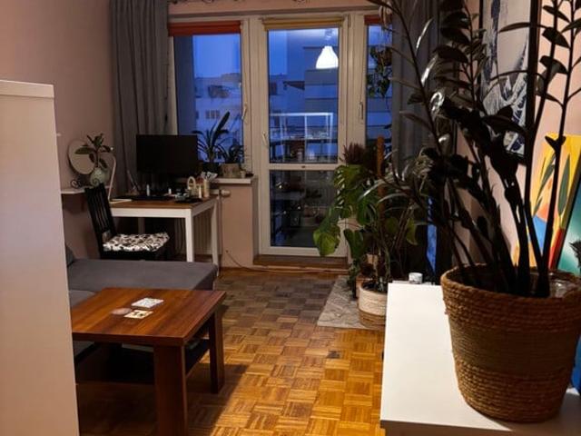 Mieszkanie do wynajęcia w Poznań, Wielkopolskie