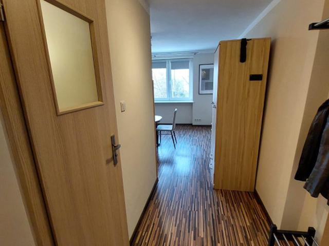 Mieszkanie do wynajęcia w Osiedle Studenckie, Poznań
