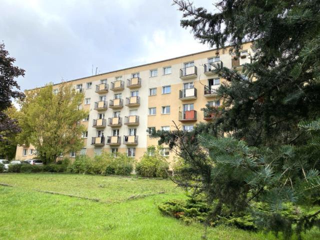 Mieszkanie do wynajęcia w Poznań, Wielkopolskie