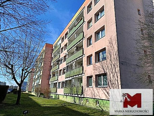 Mieszkanie do wynajęcia w Kędzierzyn-koźle, Opolskie