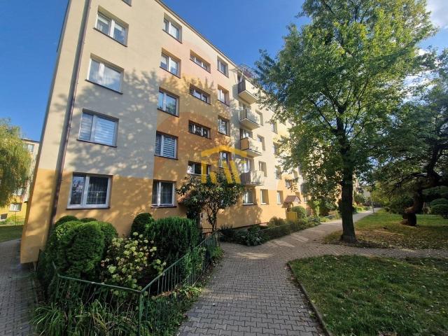 Mieszkanie do wynajęcia w Radom, Mazowieckie