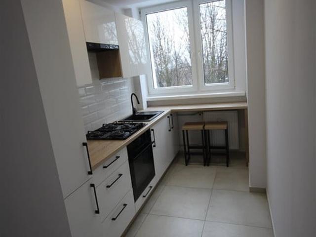 Mieszkanie do wynajęcia w Katowice, Śląskie