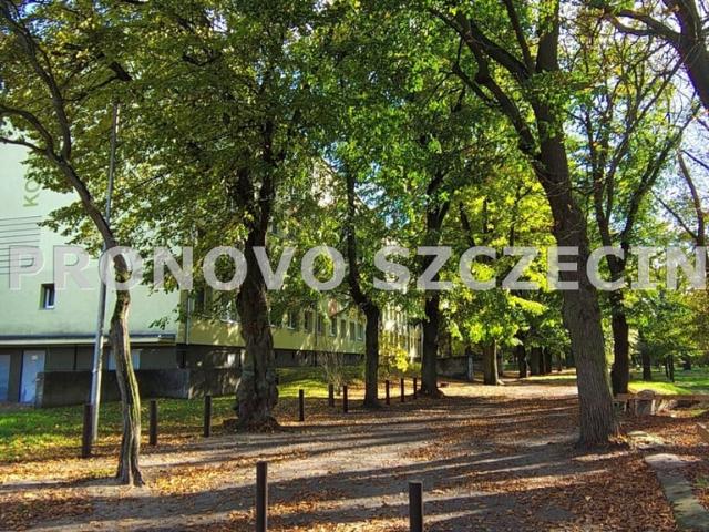 Mieszkanie do wynajęcia w Szczecin, Zachodniopomorskie