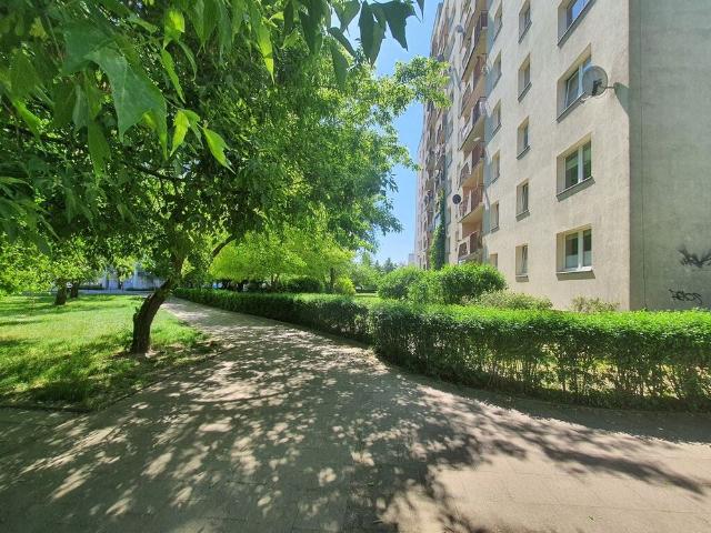 Mieszkanie do wynajęcia w Szczecin, Zachodniopomorskie