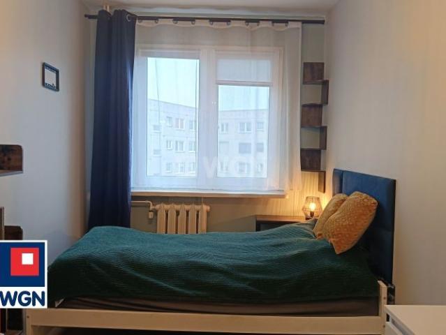 Mieszkanie do wynajęcia w Koło, Wielkopolskie