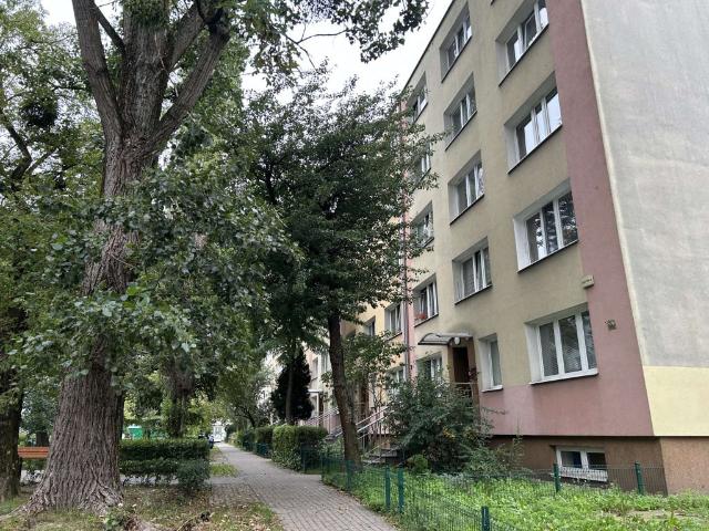 Mieszkanie do wynajęcia w Warszawa, Mazowieckie