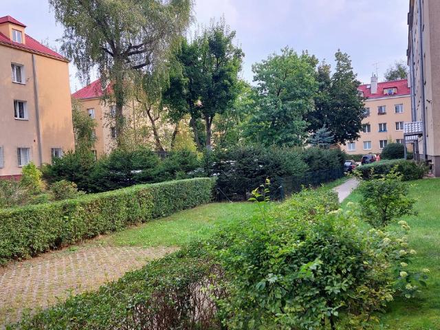 Mieszkanie do wynajęcia w Warszawa, Mazowieckie