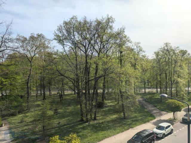 Mieszkanie do wynajęcia w Warszawa, Mazowieckie