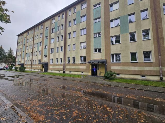 Mieszkanie do wynajęcia w Równia Szaflarska, Nowy Targ