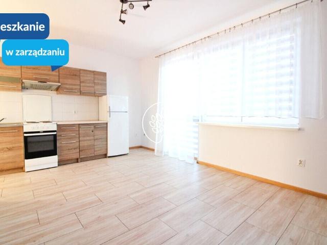 Mieszkanie do wynajęcia w Kujawsko-pomorskie