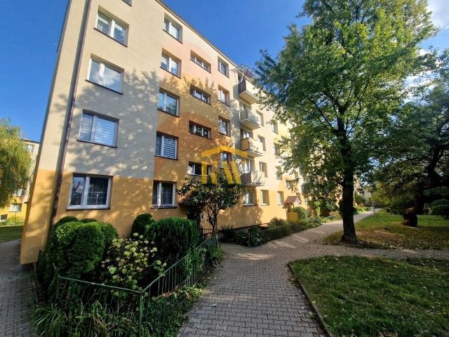 Mieszkanie do wynajęcia w Radom, Mazowieckie