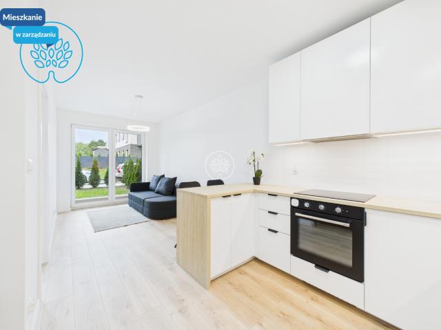 Mieszkanie do wynajęcia w Bydgoszcz, Kujawsko-pomorskie