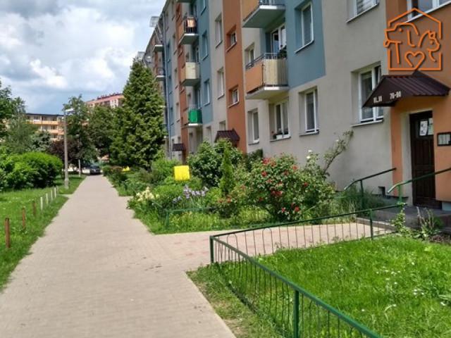 Mieszkanie do wynajęcia w Radom