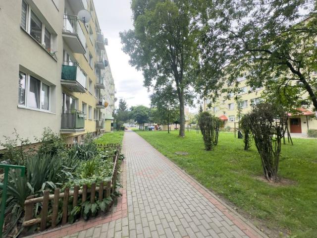 Mieszkanie do wynajęcia w Płock