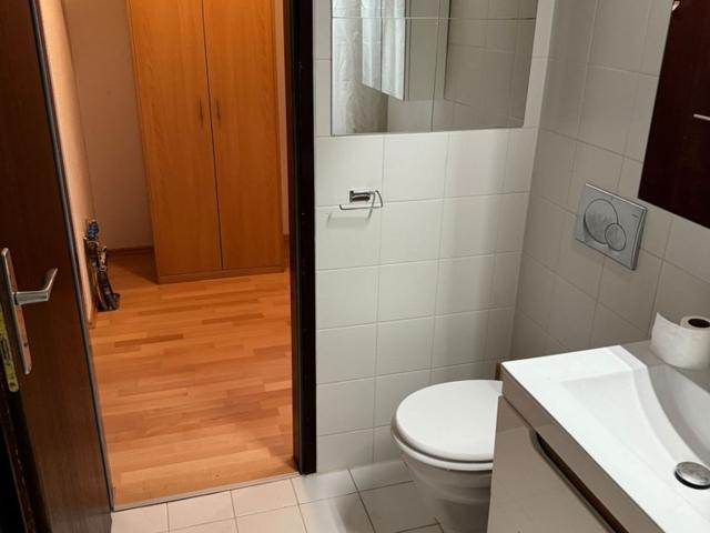 Wohnung mieten in Wiener Neudorf, Niederösterreich