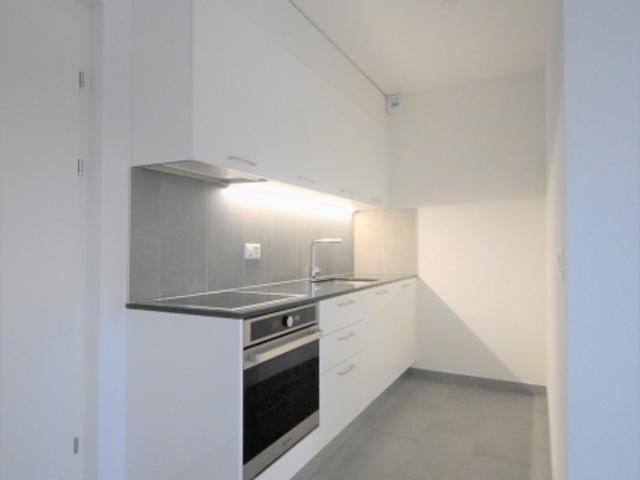Wohnung mieten in Sion