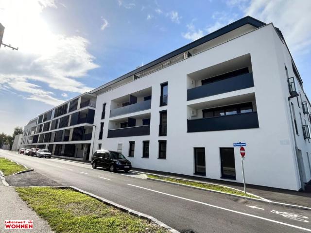 Apartment mieten in Wiener Neustadt