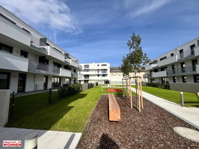 Apartment mieten in Wiener Neustadt