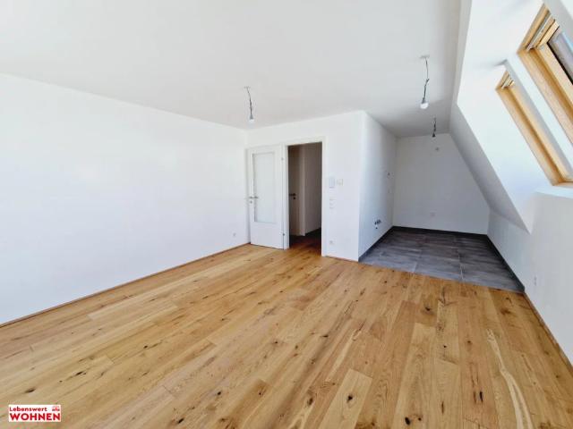 Apartment mieten in Wiener Neustadt