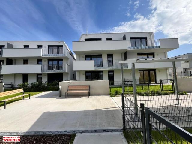 Apartment mieten in Wiener Neustadt