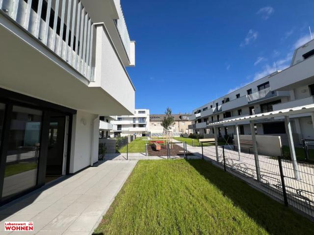 Apartment mieten in Wiener Neustadt