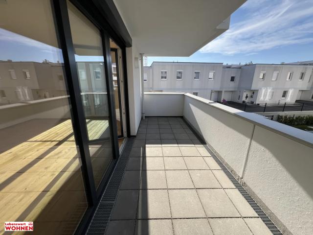 Apartment mieten in Wiener Neustadt