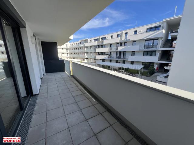 Apartment mieten in Wiener Neustadt, Niederösterreich