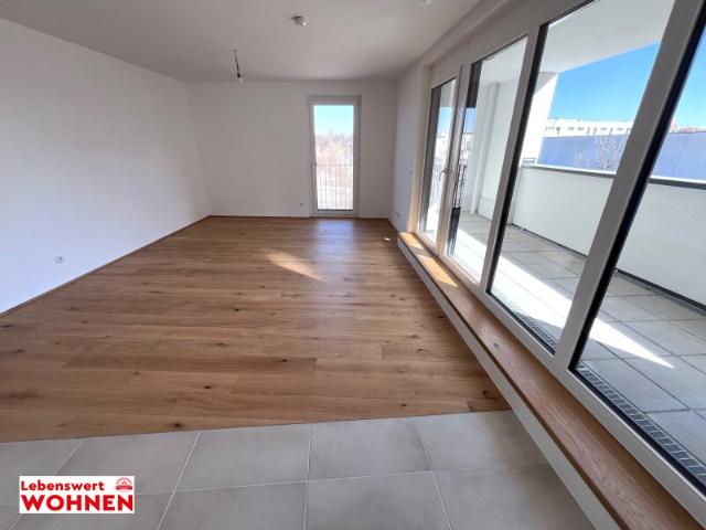 Wohnung mieten in Wiener Neustadt, Niederösterreich