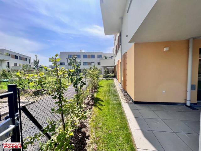 Wohnung mieten in Oberwaltersdorf, Niederösterreich