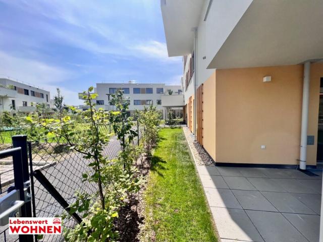 Wohnung mieten in Oberwaltersdorf, Niederösterreich